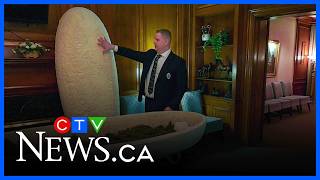 Sudbury funeral home offers eco-friendly mushroom caskets