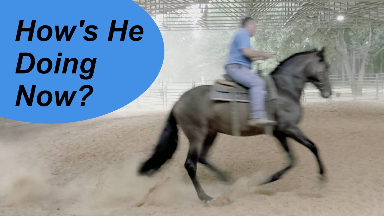 Learning his buttons