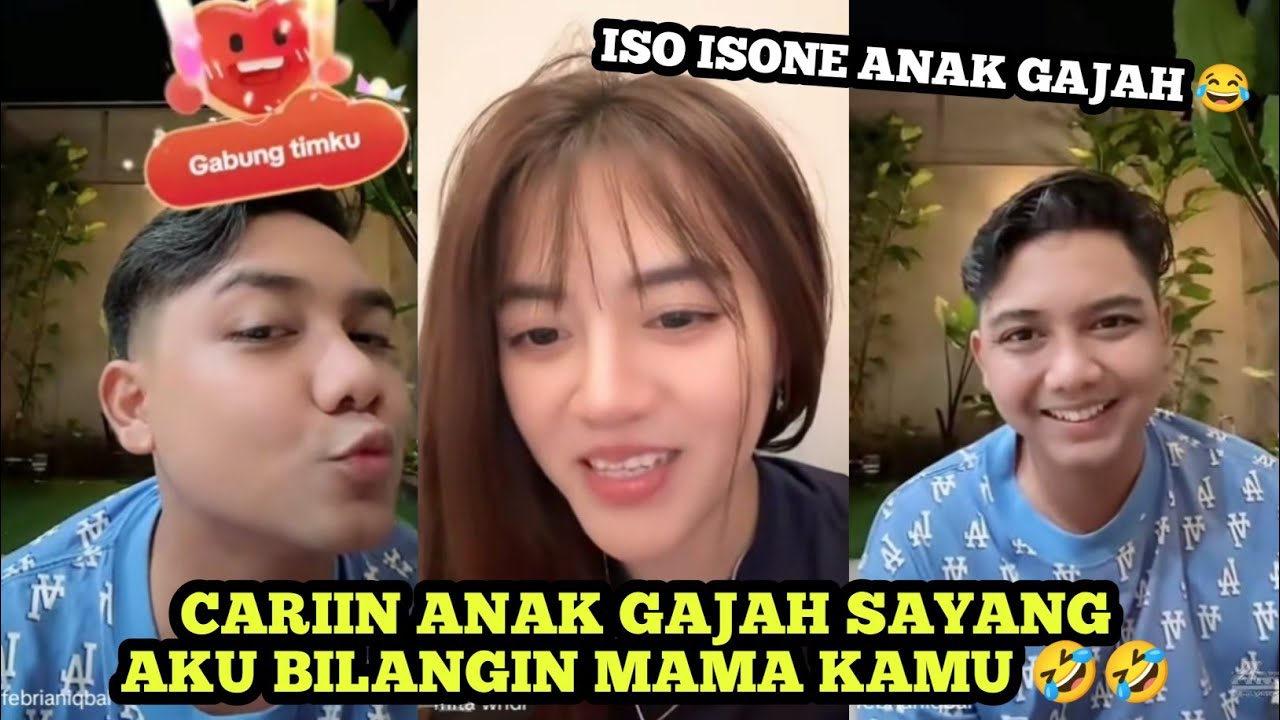 MITA NYIDAM MINTA ANAK GAJAH 🤣🤣🤣 SAMPAI MAU NGADU KEMAMA FEBRI 😂🤣