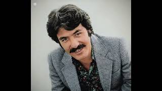 Ferdi Tayfur Vazgeç Felek