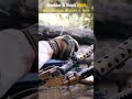 Heckler & Koch MG5 🔥🇩🇪 | Germany’s Modern Machine Gun
