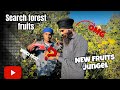 Find fruits in forest😱 new fruit  /) sweets and sour 😨 || 