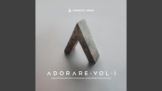 Miniatura de vídeo de "Harvest Arad - 10.000 Motive"