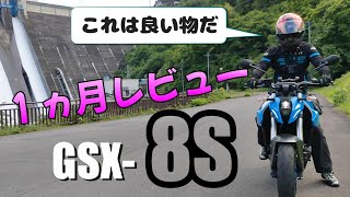 GSX-8S １ヵ月乗った感想をお届けします。