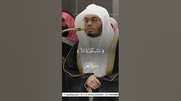 " الم يروا إلي الطير مُسخرات " سورة النحل (79) الشيخ ياسر الدوسري