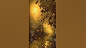 سورة الضحى #القران #قران #قران_كريم #القران_الكريم #اكسبلور #algerie