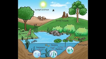 Class  8 Science Chapter  14  Part 3