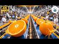 Inside a Mega Juice Factory: From Fresh Tangerines to Bottles (Full Process)