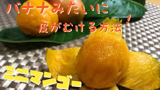 ミニマンゴーの食べ方❣️