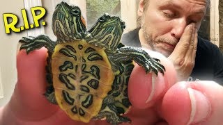 MY TWO HEADED TURTLE (Rick and Morty) DIED ** Emotional** | BRIAN BARCZYK