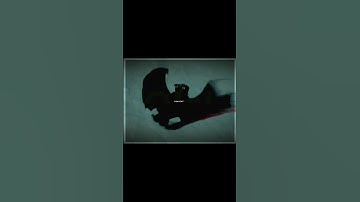 •Shine bright || Httyd edit•