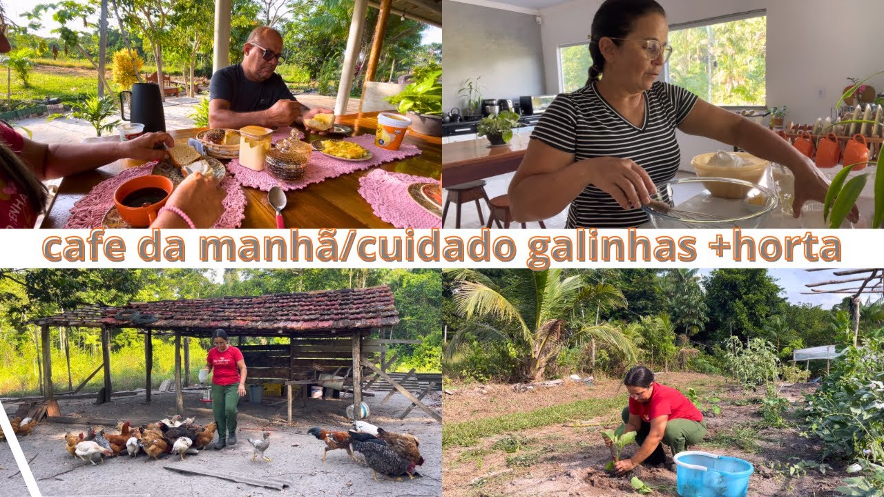 Rontina da mulher na Roça /Trabalho e Sabor no  Lar ✨🍞🌿#vidanaroça #fazenda #vidanocampo