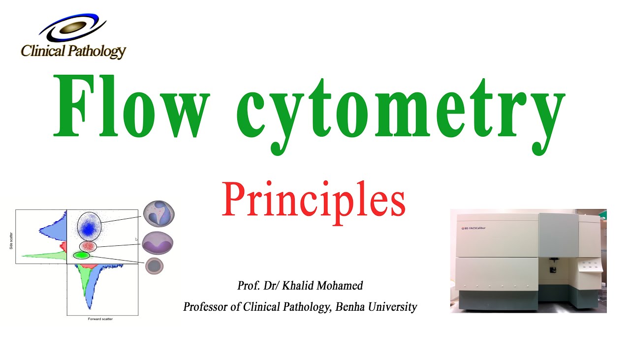 Flow cytometry part 1: basic Principles and easy guide - YouTube