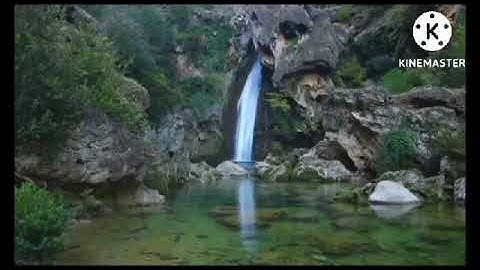 #رسائلكمتلاوة عطرة خاشعة تريح القلوب اسمع ماشاء الله بصوت ابو يوسف من بلعباس  الجزائر. 🇩🇿حفظه الله.