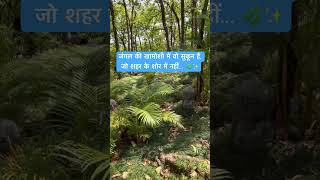 Jungle Vibes 🌲🍃 | Nature Therapy | Peaceful Forest View | Travel Vlog Shorts | Jungle Reel