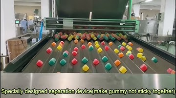 16R gummy candy counting machine