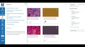 Video Demonstration for Customizing Courses in Canvas