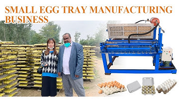 Small Egg Tray Manufacturing Business | Egg Tray Machine Price #eggtraymachine