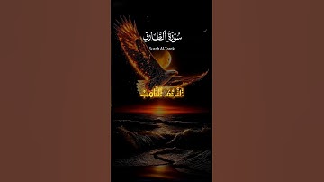 سورة الطارق #المتابعين #اكسبلور #اعتني #مشاهير #دويتو #شلتنا #اهل_سنت #حالات_واتس #السعودية