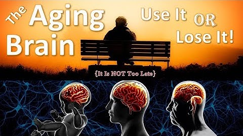 The Geriatric Brain~Use It or Lose It