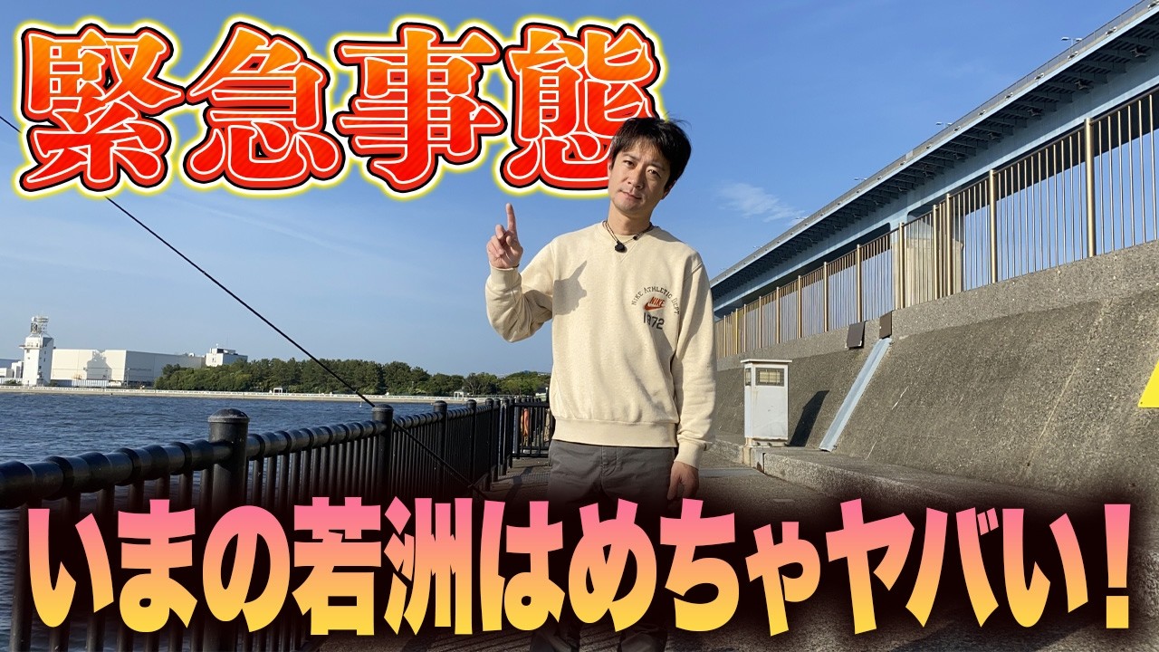 Wakasu Seaside Park] Three-day sabiki fishing survey conducted
