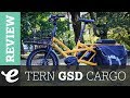 Review: Tern GSD