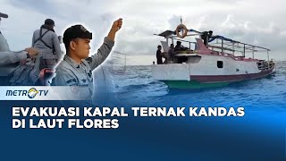 Cuaca Buruk, Kapal Ternak Terdampar di Laut Flores
