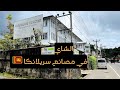 زيارة مصنع شاي  في سريلانكا