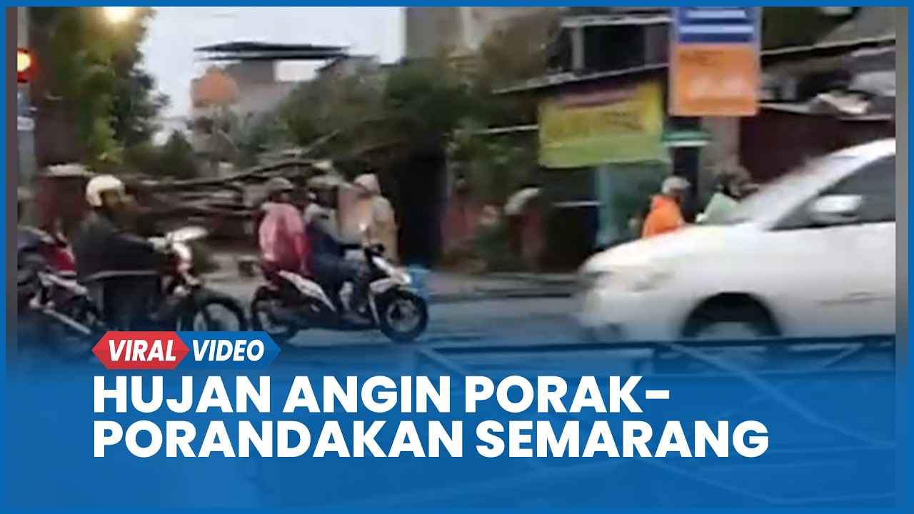 Hujan Deras Disertai Angin Terjang Semarang, Baliho Roboh dan Pohon Tumbang Lumpuhkan Lalu Lintas