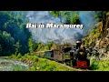 🚂Mocanita De Pe Valea Vaserului- Cea Mai Spectaculoasa Calatorie Cu Trenul In Romania#romania#travel
