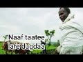 Bara Jireenya Koo Naaf Tatee Lafe Dugdaa New Song Singer Fallaaqqu