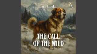 Chapter 33 - The Call of the Wild - Audiobook
