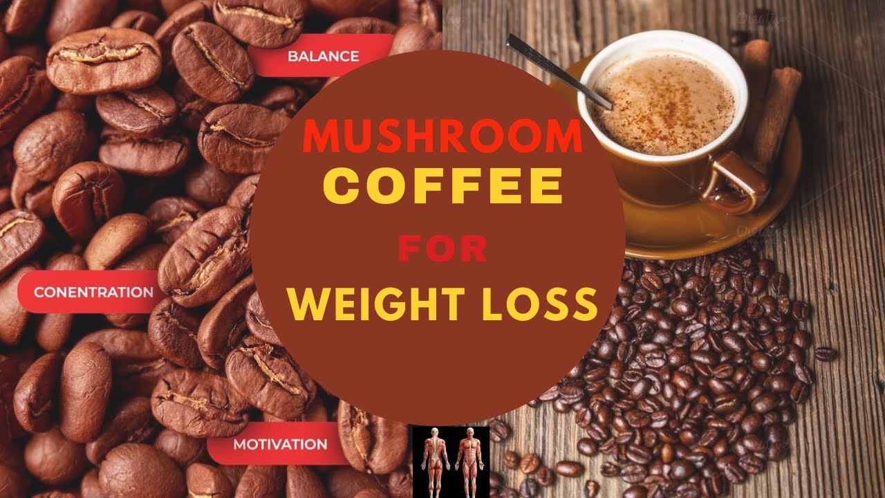 Mushroom coffee weight loss Mushroom coffee Benefits for weight loss