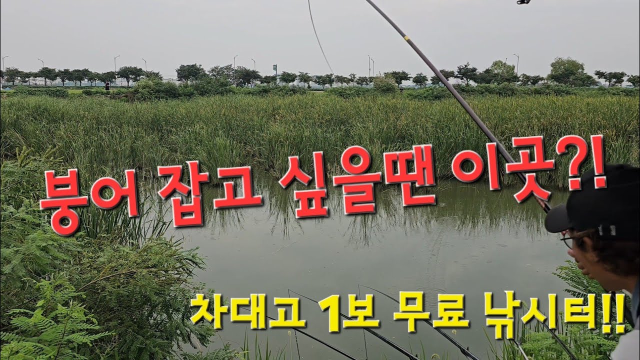 그 어떤 악조건에도 붕어를 볼수 있는곳?! 