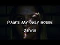 Zevia  pains my only home slowed down