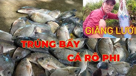 Thả Lưới || Trúng Ổ Cá Rô Phi CẢ Chục Ký @SongNuocCaMau