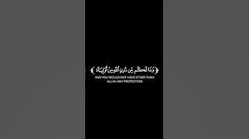 كروما شاشة سوداء قرآن كريم 🌿تلاوة من سورة هود 🌿القارئ طارق محمد 🌿