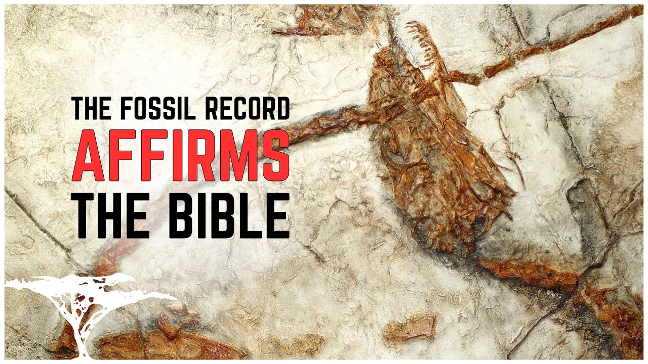 Внезапное появление полностью сформированной жизни