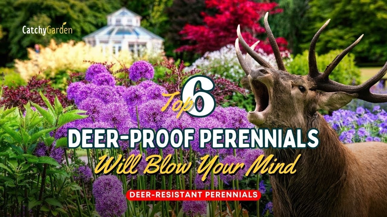 DeerResistant Perennials 6 DeerProof Perennials Will Blow Your Mind