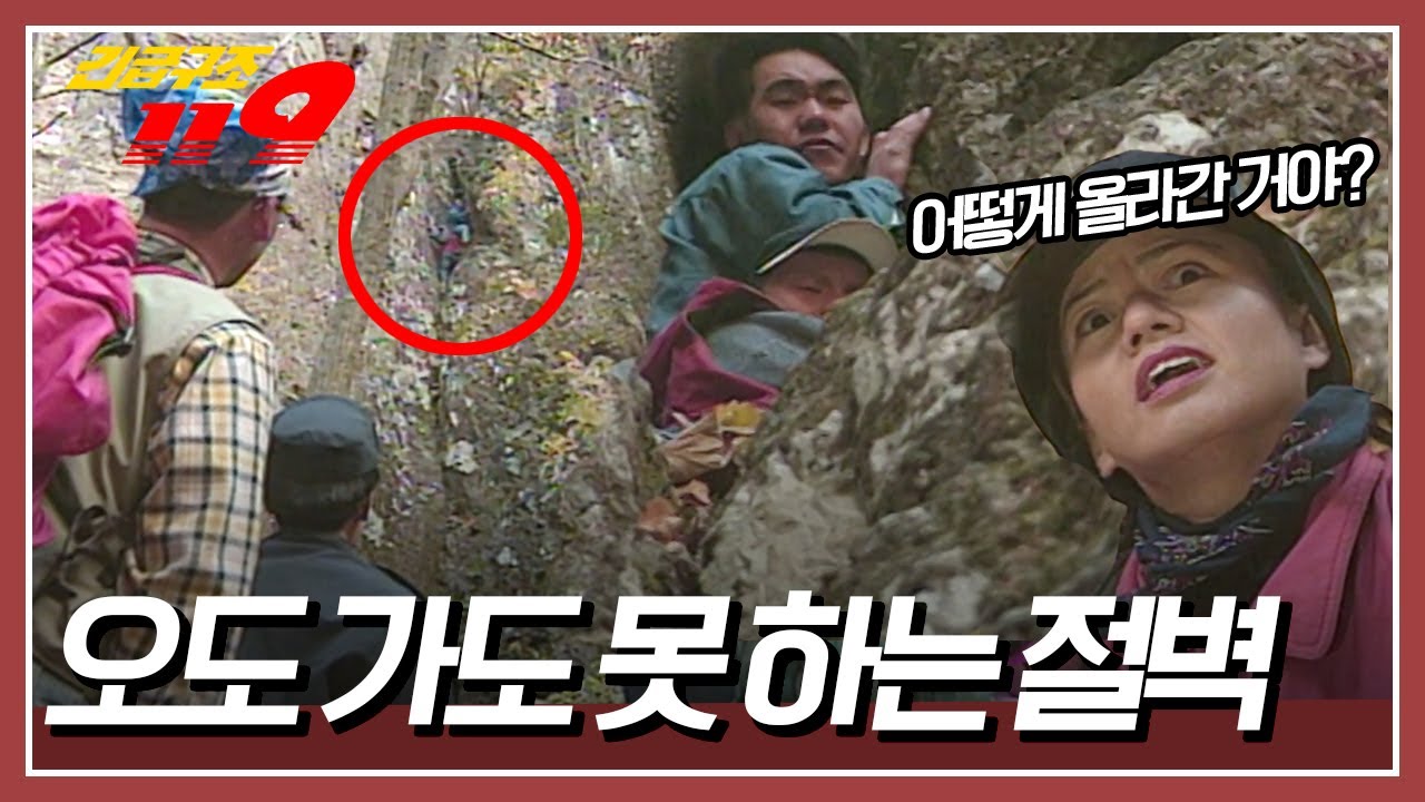 🚨가지 말라는 곳은 다 이유가 있다! ⛰️주왕산을 찾은 두 청년, 등산로가 아닌 곳으로 올라가고 마는데... [긴급구조 119] KBS 951114 방송