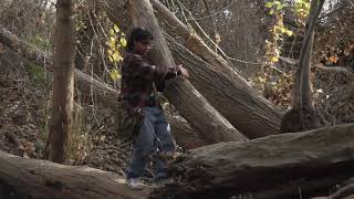 Trail-Z Chase Sequence