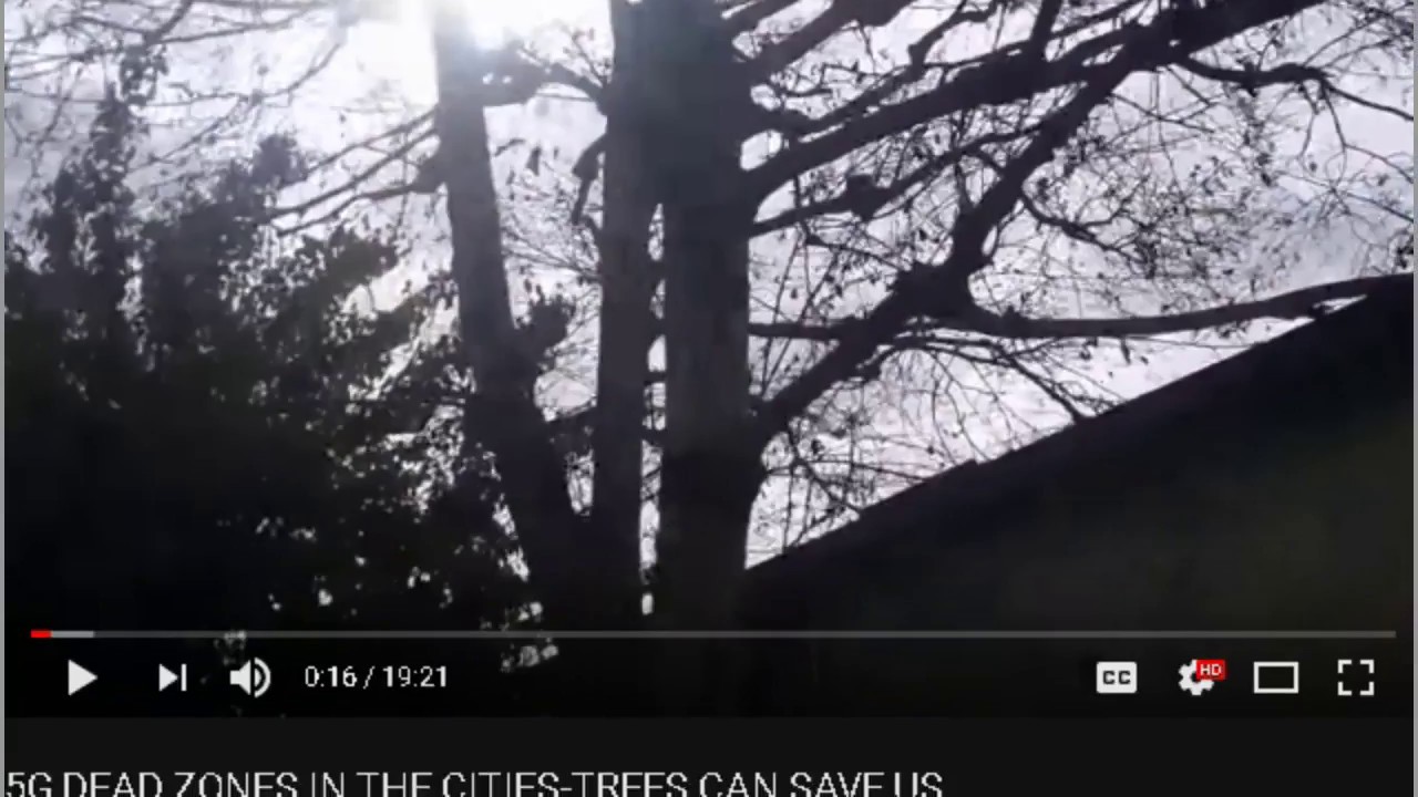 5G Dead Zones In The Cities-Trees Can Save Us!