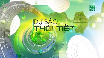 Thời tiết biển 04/02/2021: Thời tiết biển tốt, tầm nhìn thông thoáng| VTC14
