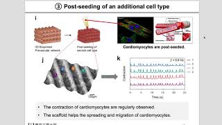 Review: Microfluidic Bioprinting of Heterogeneous 3D Tissue Constructs Using Low-Viscosity Bioink