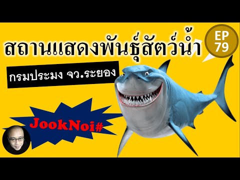 พาเที่ยวสถานแสดงพันธุ์สัตว์น้ำ กรมประมง จว.ระยอง EP79