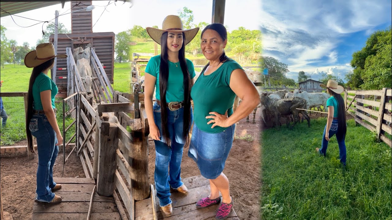 COMPRAMOS 20 VACAS PARIDAS| VALOR DA COMPRA ⁉️