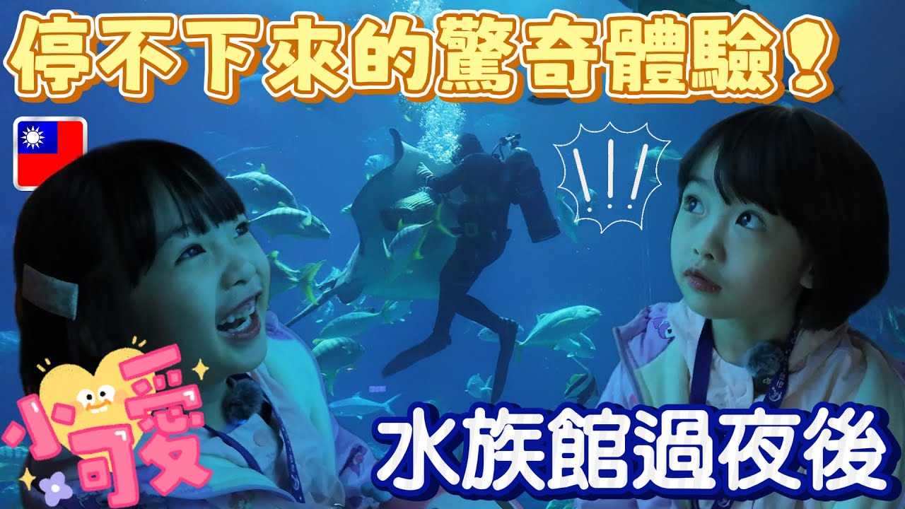 水族館過夜！挑戰觸摸水母？！但是呢…… / 수족관에서 1박! 해파리 만지기 도전?! 그런데 말입니다…