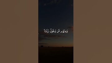 وَمِنْهُم مَّن يَقُولُ رَبَّنَا آتِنَا فِي الدُّنْيَا حَسَنَةً || سورة البقرة #علاء_عقل 🤍🌱