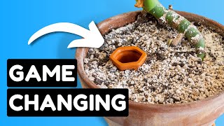 NEVER Worry About Watering Your Plants Again!