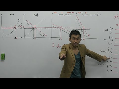 UOL Intro Economics (EC1002) | Exam Video Solution 2010BQ3 (Perfect Competition)